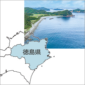 徳島ナチュラルジェラート12個セット