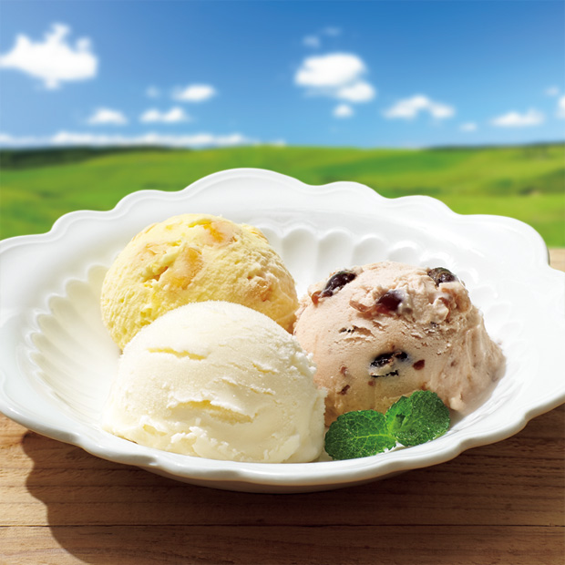アイスクリーム10個セット