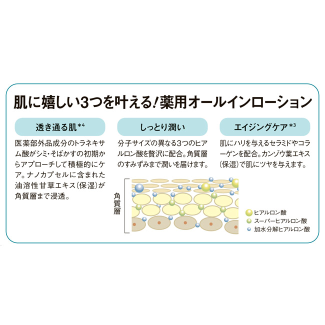 薬用美白オールインローション（顔･からだ用）／2本組