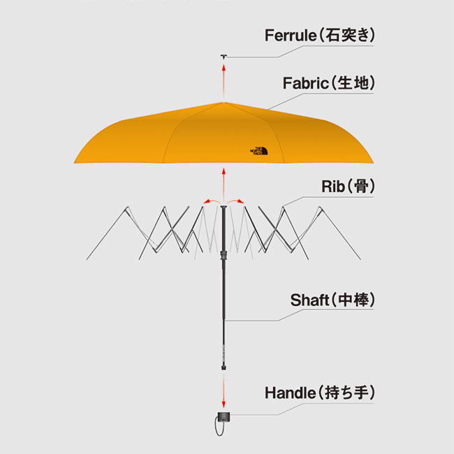 確認画像 アンブレラ