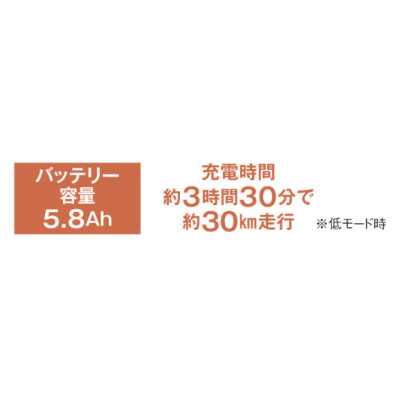 ロータイプノーパンク電動アシスト三輪自転車（送料込み）