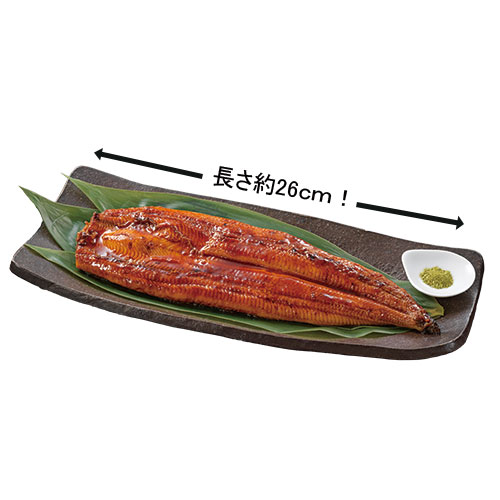 九州産うなぎ長焼き2尾
