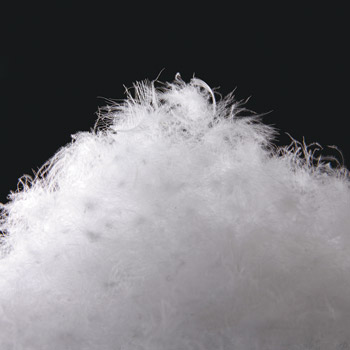 シルク混・撥水ショートダウンコート