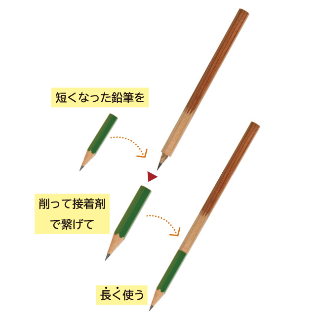 TSUNAGO特別セット