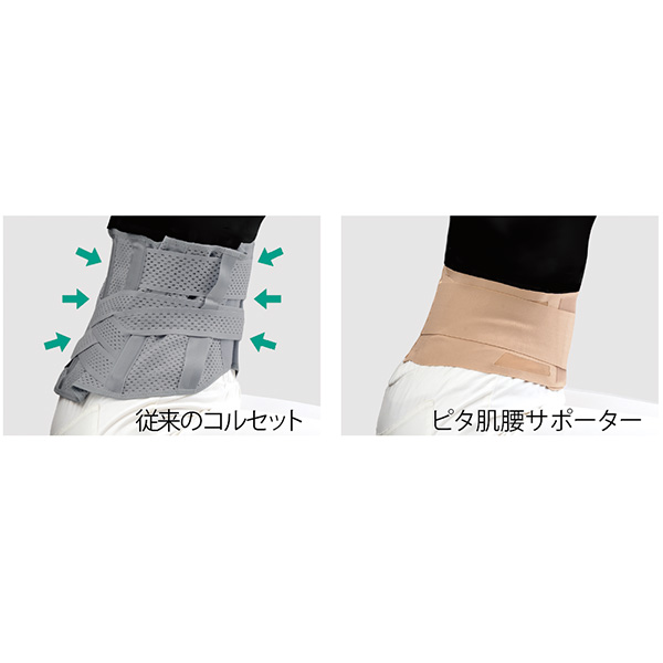 ピタ肌腰サポーター/2枚セット
