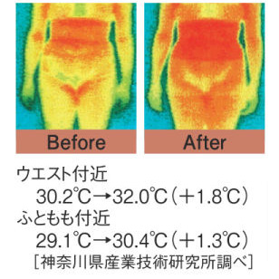 うす型腹巻き／ファインサポーターRE／2枚組