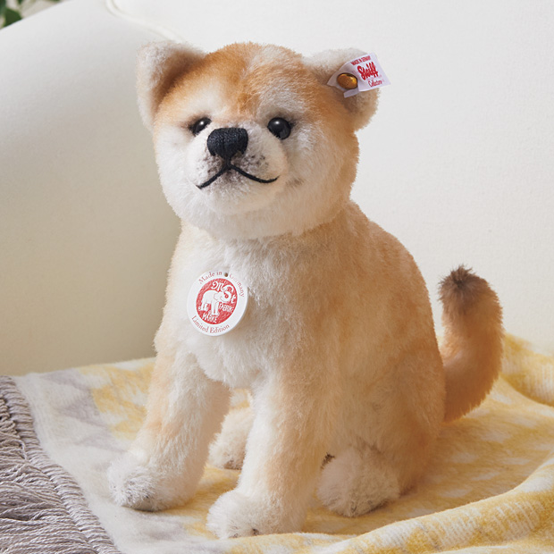 柴犬／ベビーシバ