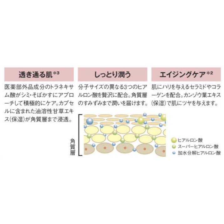 薬用美白オールインローション（顔･からだ用）／2本組