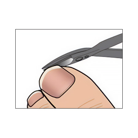 少ない力で切れる爪切りばさみとやすりのセット