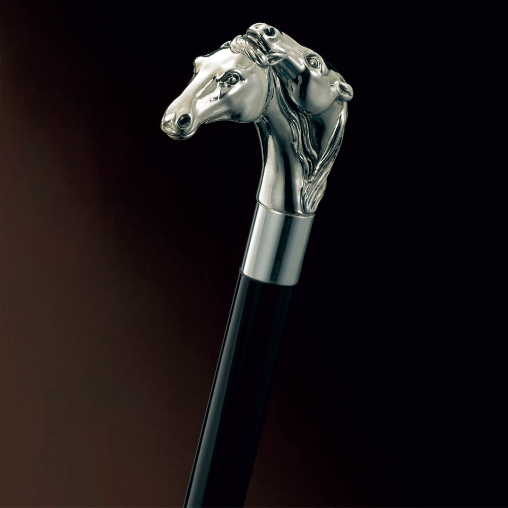 ステッキ/ホース