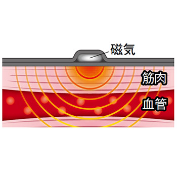 磁気治療膝サポーター／2枚セット