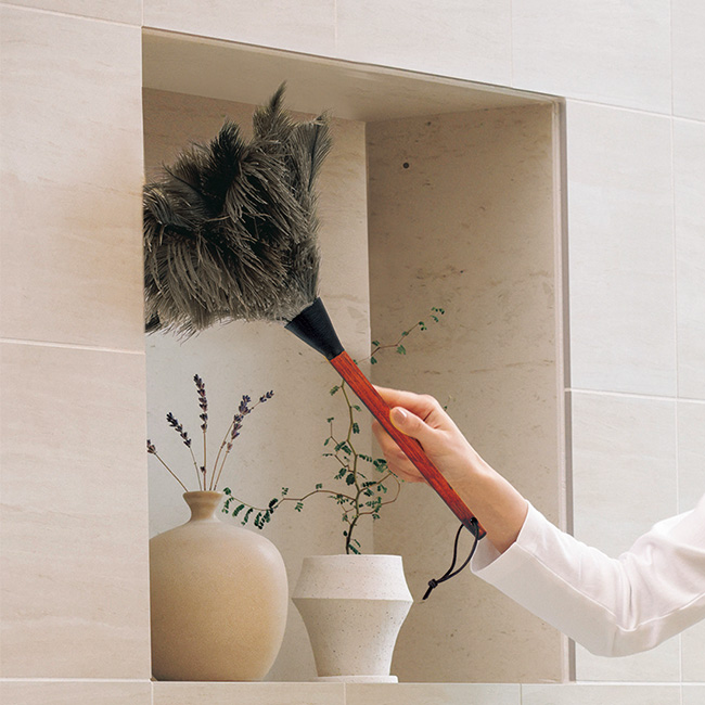 ハタキ／オーストリッチ