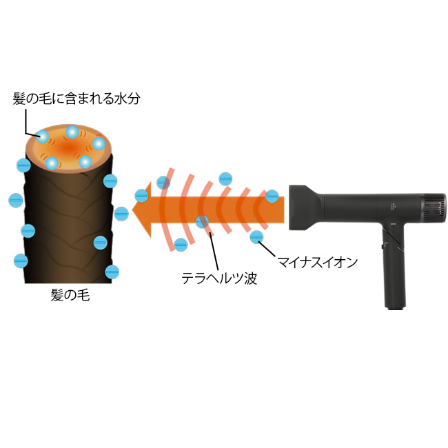 コンパクト＆パワフルヘアドライヤー