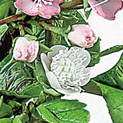 クレイアート（粘土工芸）「春の彩り」