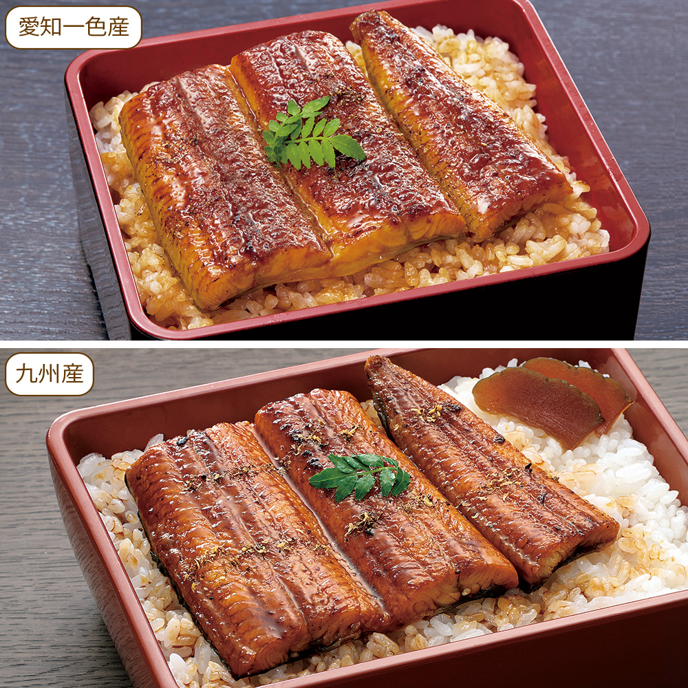 愛知一色産・九州産うなぎ蒲焼食べ比べセット