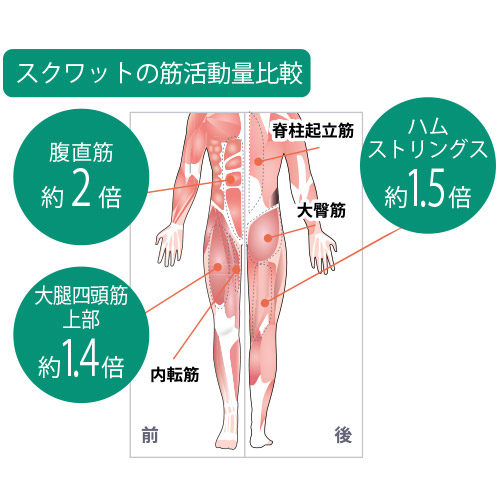ワイドスクワットホッパー