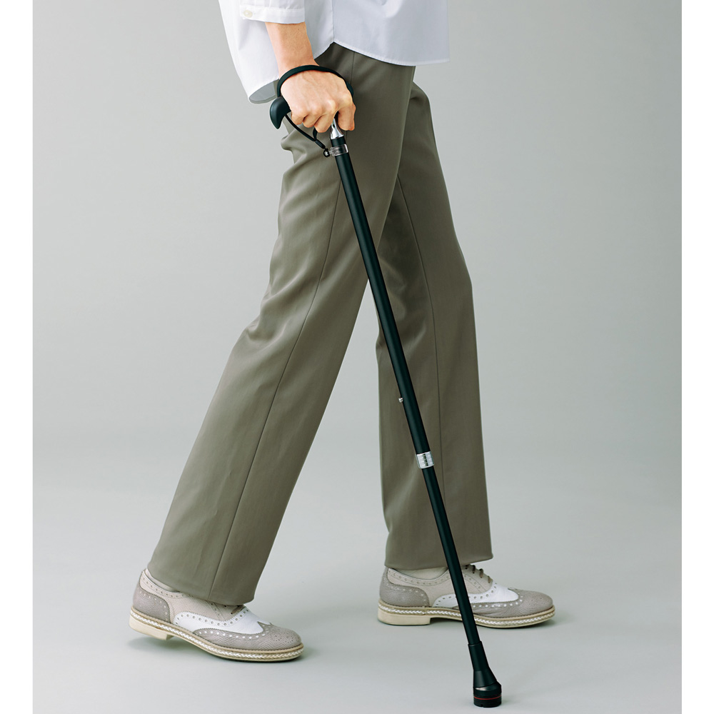 フレックスフィットケイン カーボンタイプ