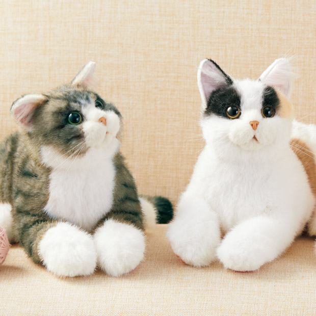 なでなで猫ちゃん