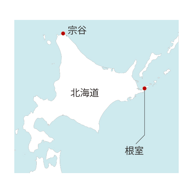 食彩倶楽部 北海道産いわし水煮缶 ライトアップオンラインストア 食彩倶楽部 北海道産いわし水煮缶 ライトアップオンラインストア