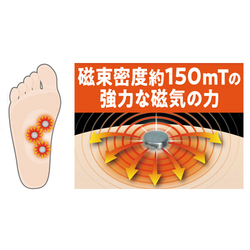 遠赤シルク磁気足裏サポーター／2足セット