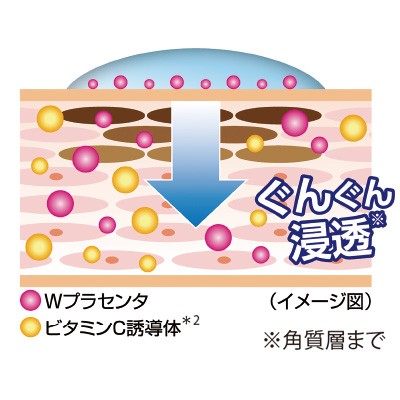 ホワイトニングクリーム／2本セット