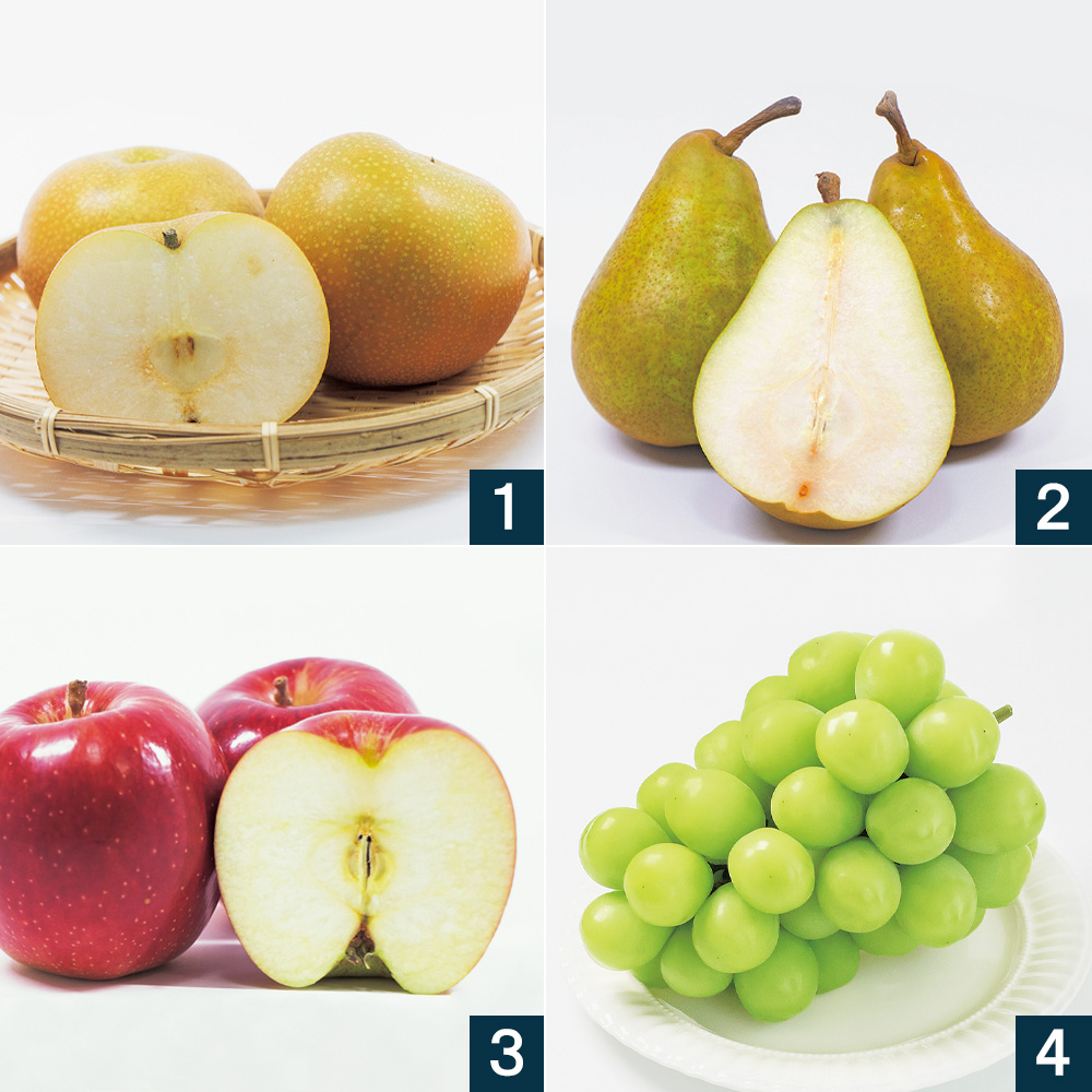 旬の美味しいフルーツ 12ヵ月頒布会