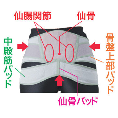 中殿筋＋腰ガード／メッシュ薄型