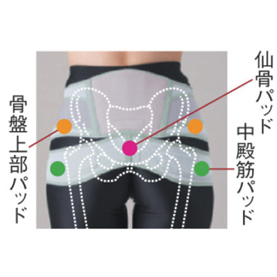 中殿筋+腰ガード/メッシュ薄型