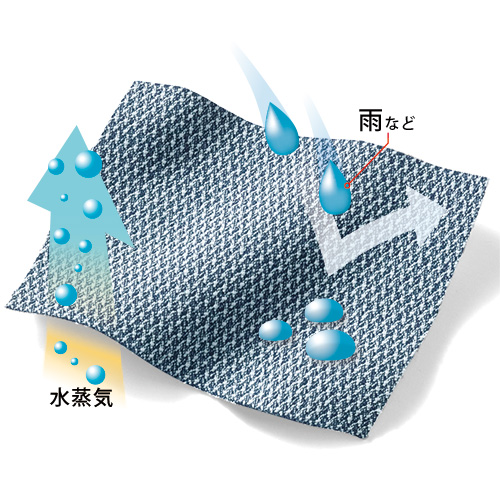 マスターコットン･吸放湿撥水バーズアイスラックス