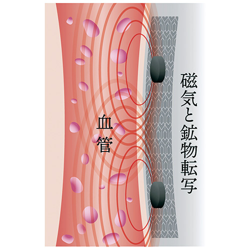 磁気腰サポーター