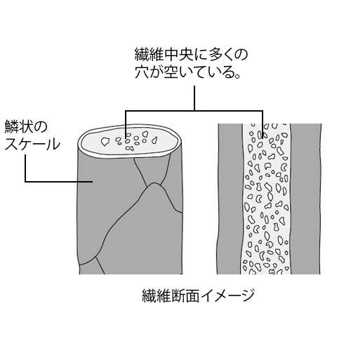 オーガニックベビーキャメル･中わたブルゾン