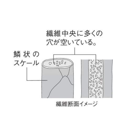 オーガニックベビーキャメル･中わたブルゾン
