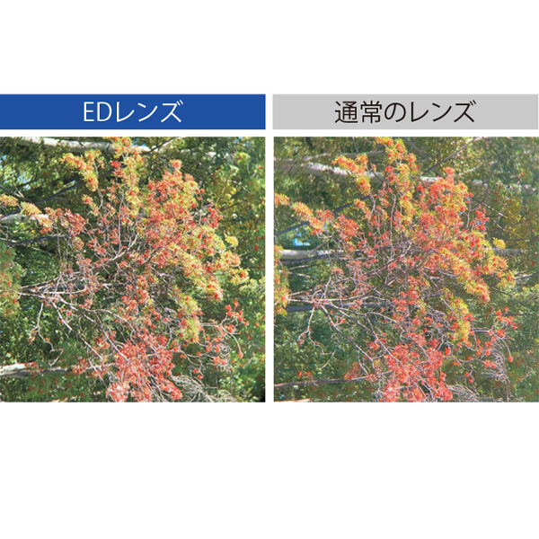 EDレンズ搭載双眼鏡／8倍×25mm