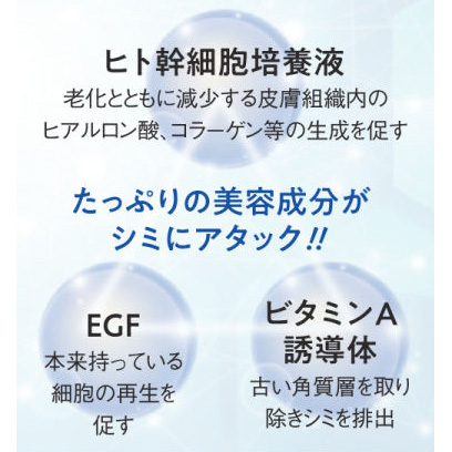 メイクナイトパッチ／3個セット