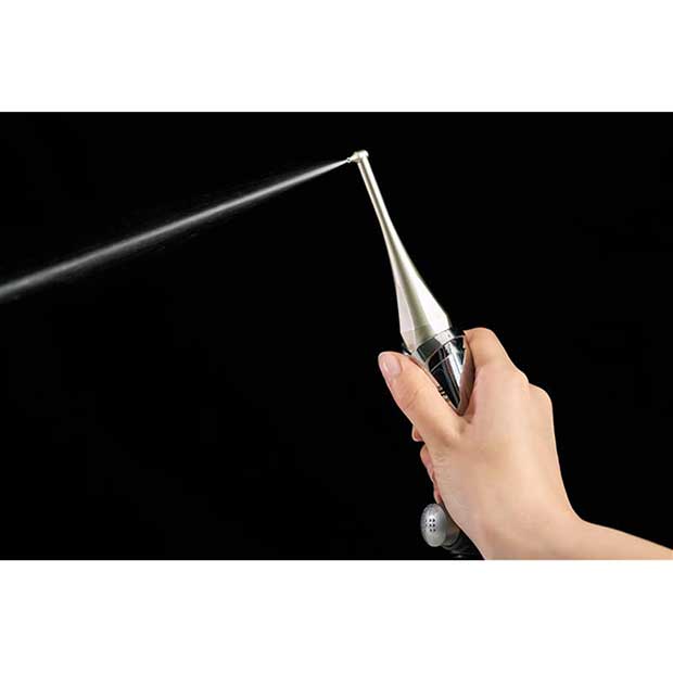 ナノフェミラス･デンタル