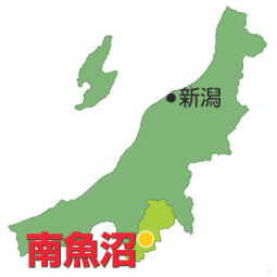 南魚沼産こしひかり12ヵ月頒布会 1.5kg~4.5kgコース