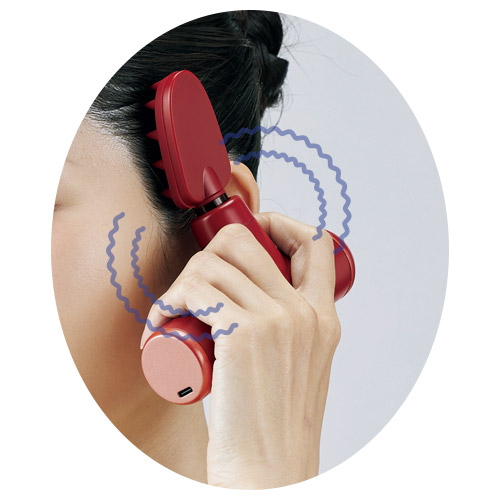 ルルドガン プラスアーム