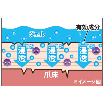 薬用ツメキラリ／3個組