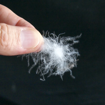 スタンドカラー･ダウンコート