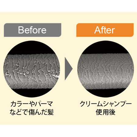 クリームリペアシャンプー3本組