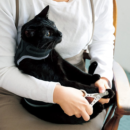 にゃんケアチョッキ