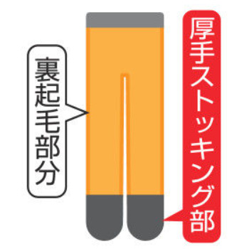 裏起毛ぽっかぽか美脚ストッキング3足組