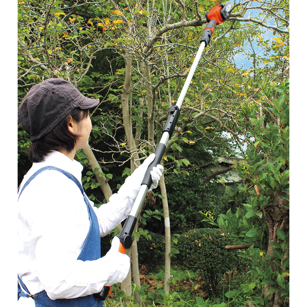 高枝電動チェーンソー・ミニ