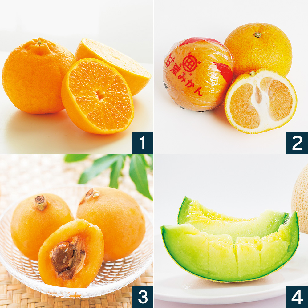 旬の美味しいフルーツ 12ヵ月頒布会