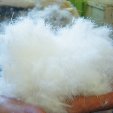 800フィルダウン･ベンタイルジャケット