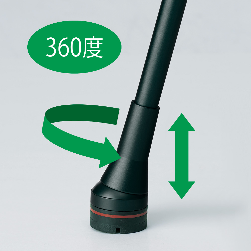 フレックスフィットケイン カーボンタイプ