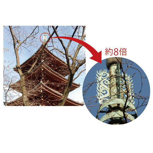 遠近両用単眼鏡／8倍&times;20mm