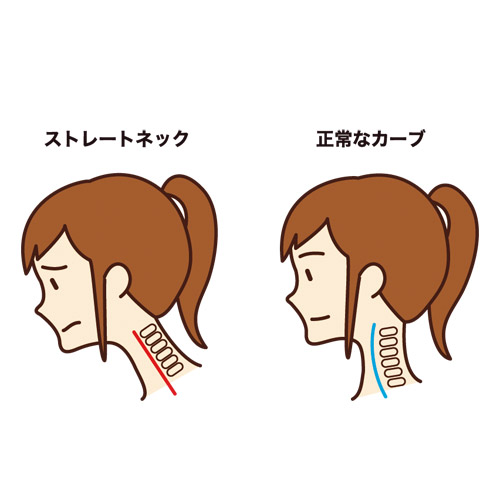 日本製ネックレストサポーター2個セット