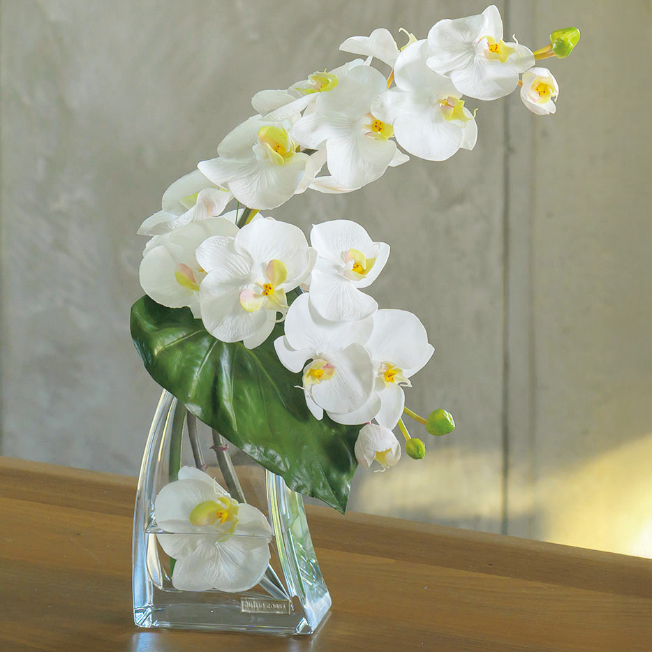 エミリオロバ　花　アートフラワー エミリオ・ロバ アートフラワー／ファレノプシスL | ライトアップ