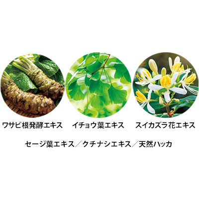 木曽檜歯磨きジェル